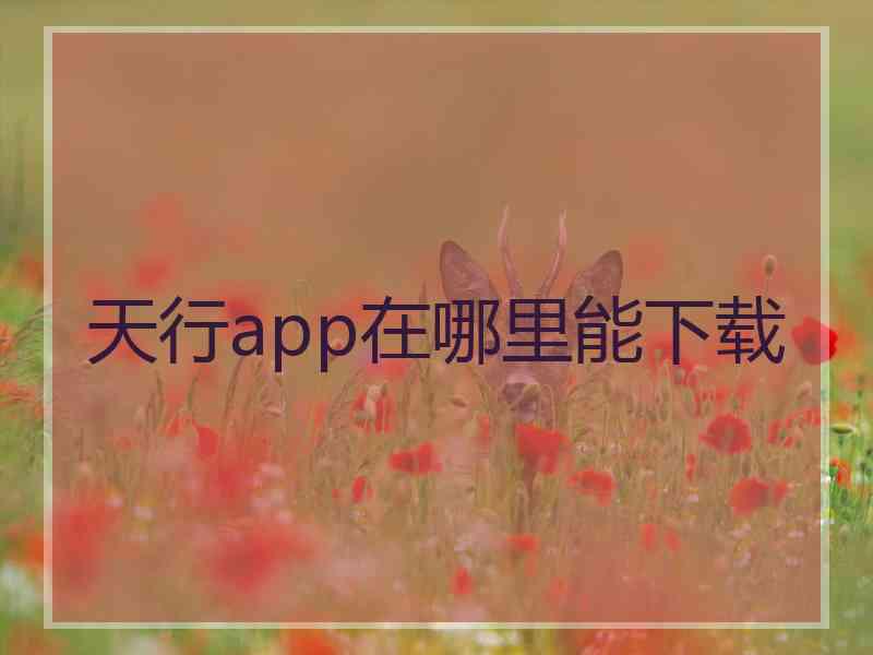 天行app在哪里能下载