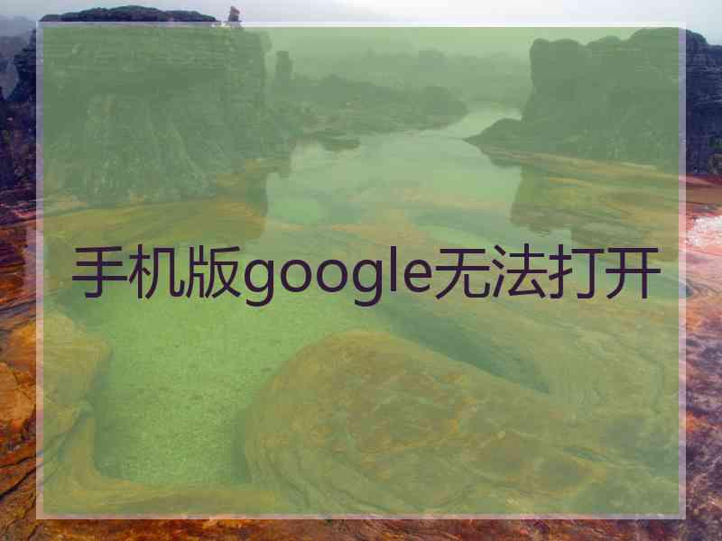 手机版google无法打开