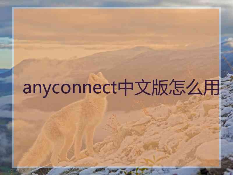 anyconnect中文版怎么用