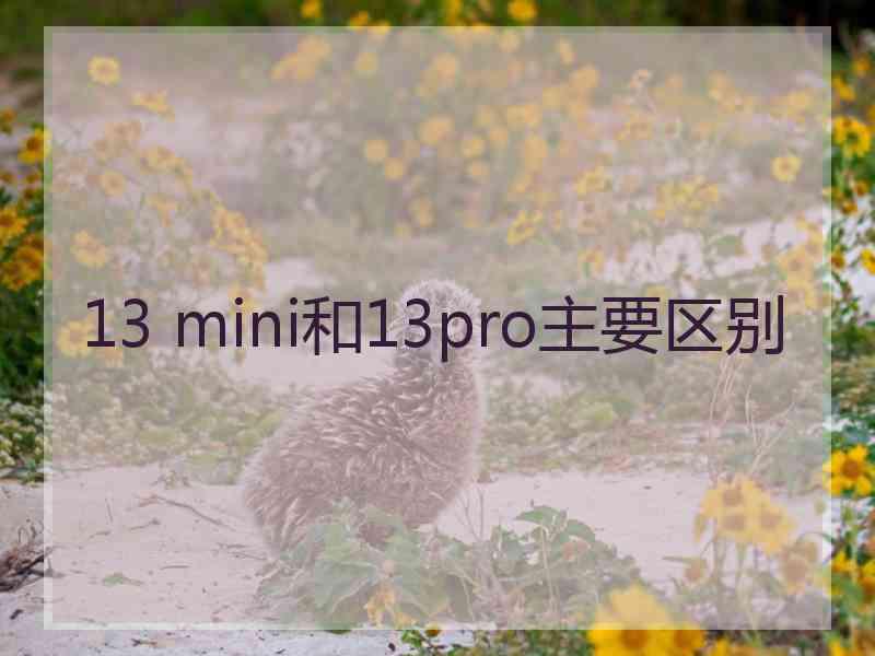 13 mini和13pro主要区别