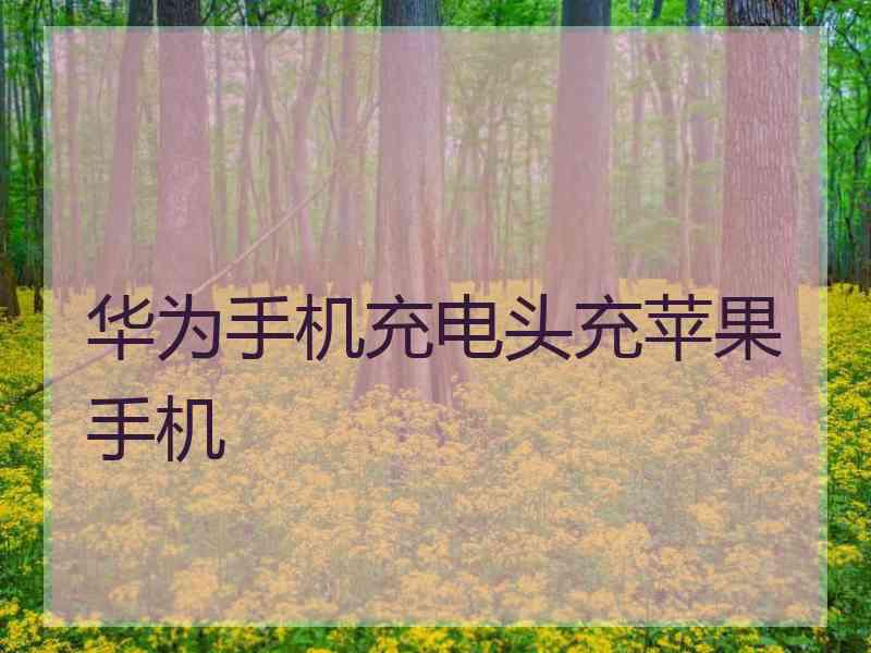 华为手机充电头充苹果手机