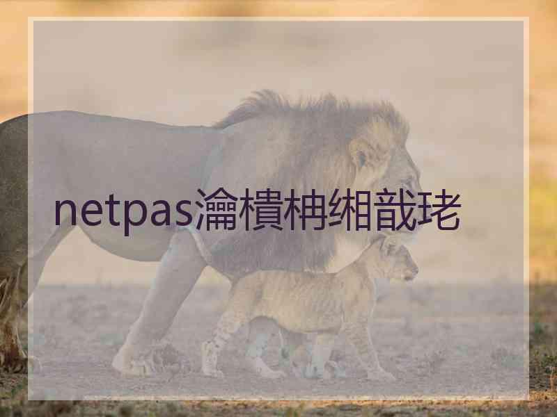 netpas瀹樻柟缃戠珯