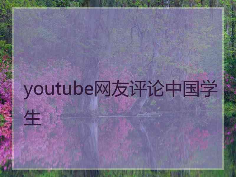 youtube网友评论中国学生