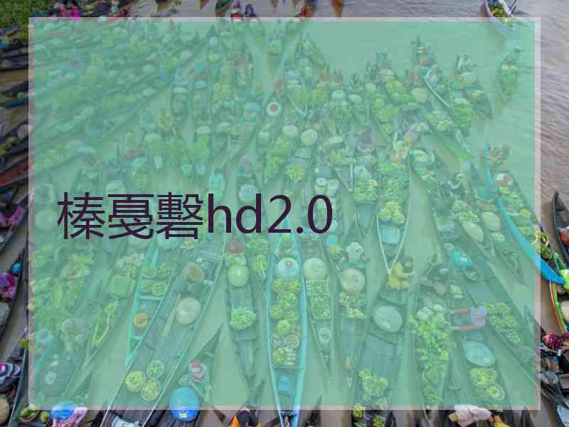 榛戞礊hd2.0