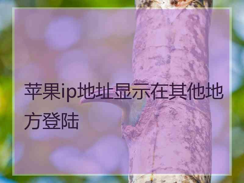 苹果ip地址显示在其他地方登陆