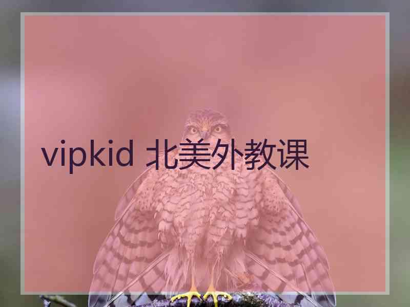 vipkid 北美外教课