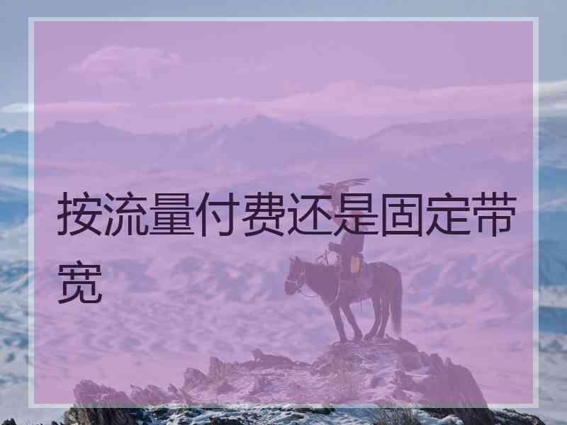 按流量付费还是固定带宽