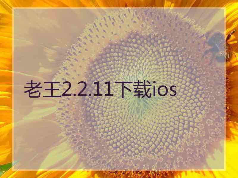 老王2.2.11下载ios