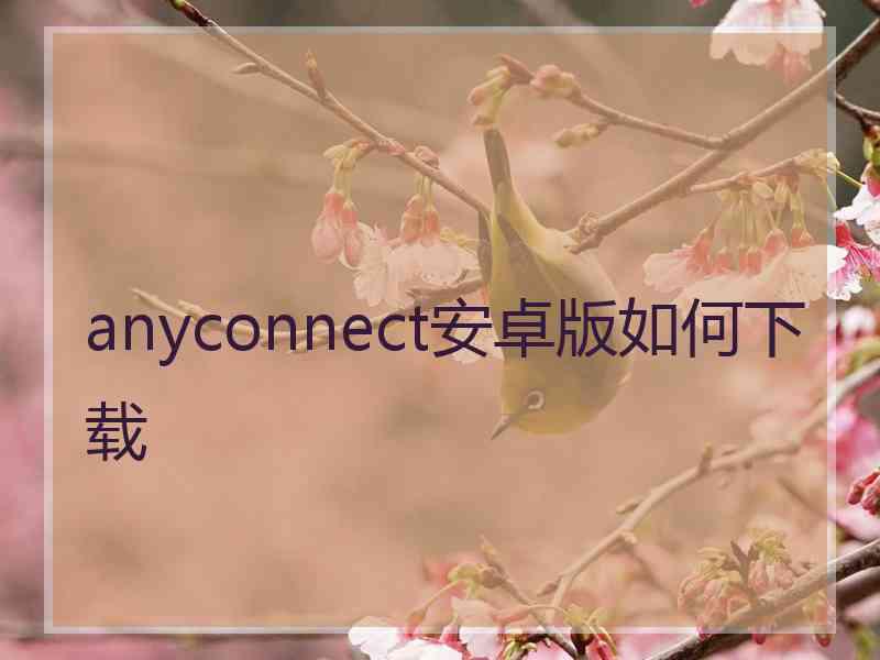 anyconnect安卓版如何下载