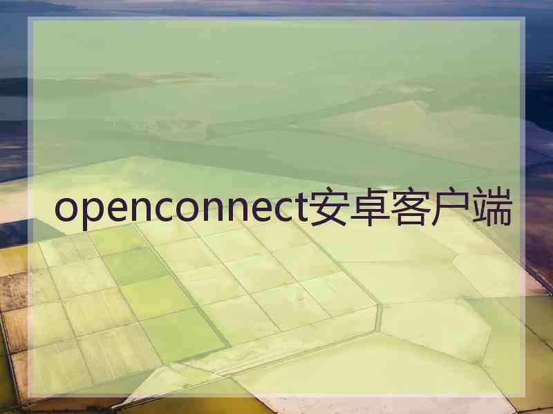 openconnect安卓客户端
