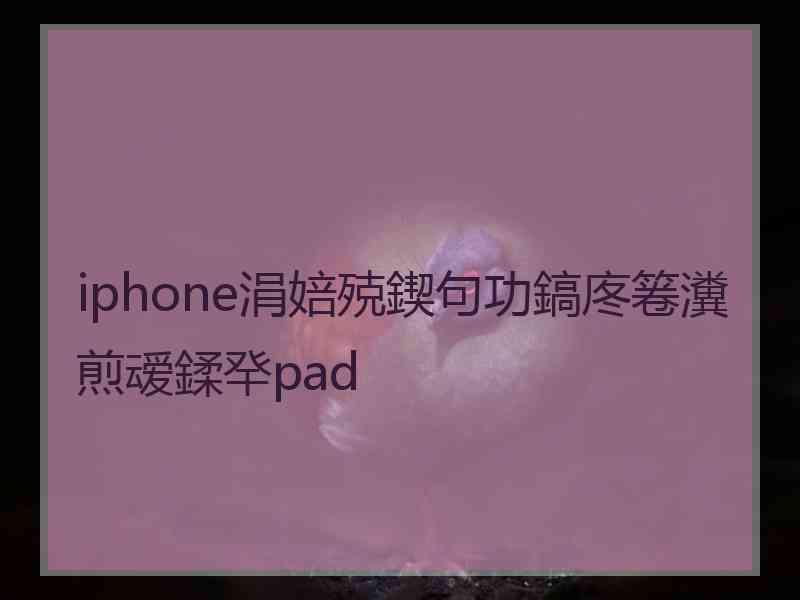 iphone涓婄殑鍥句功鎬庝箞瀵煎叆鍒癷pad