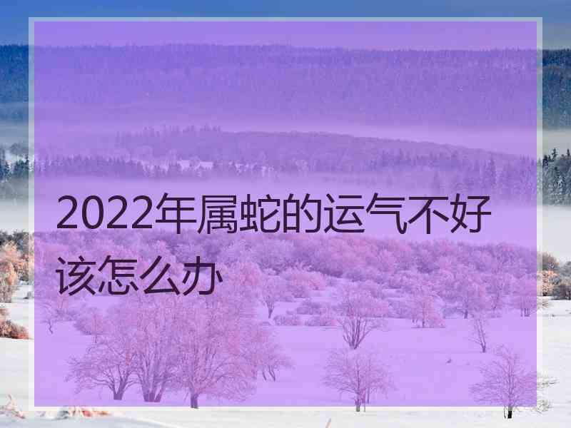 2022年属蛇的运气不好该怎么办