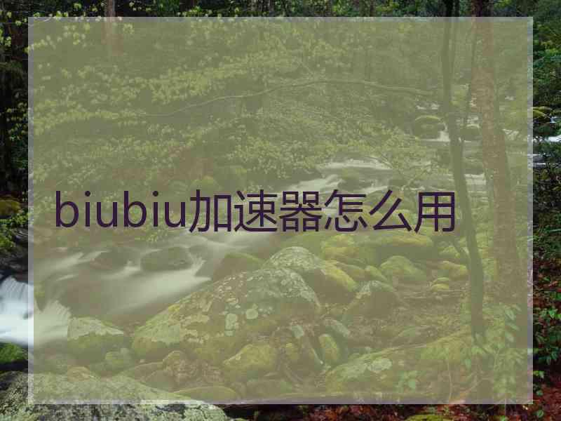 biubiu加速器怎么用