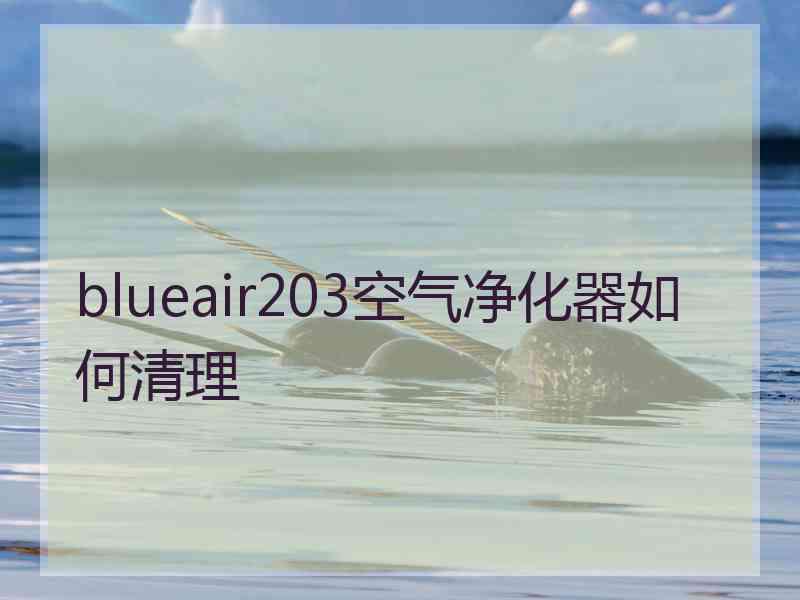 blueair203空气净化器如何清理