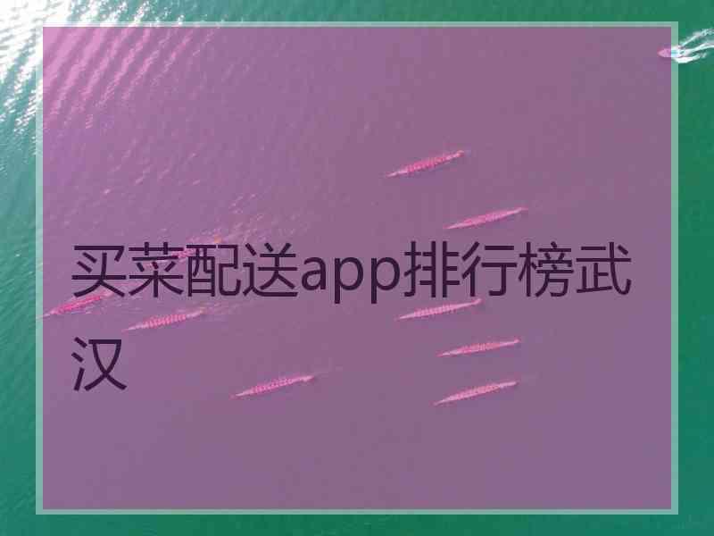 买菜配送app排行榜武汉