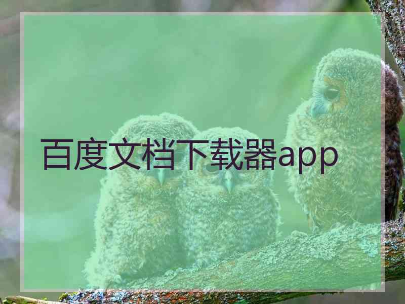 百度文档下载器app