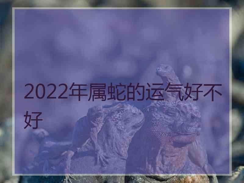 2022年属蛇的运气好不好