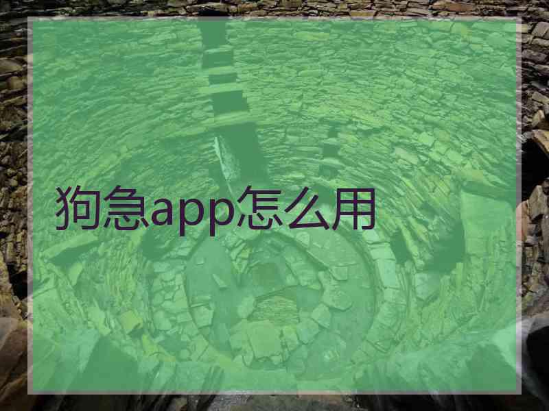 狗急app怎么用