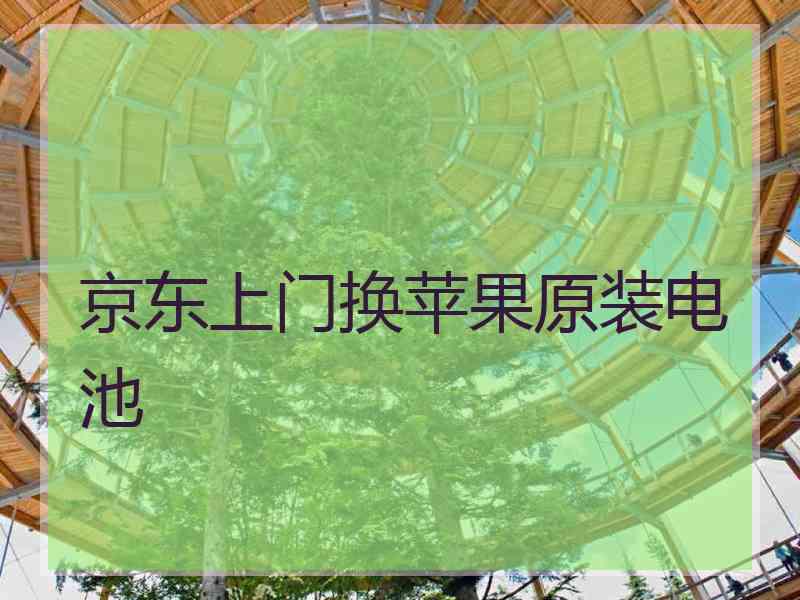 京东上门换苹果原装电池