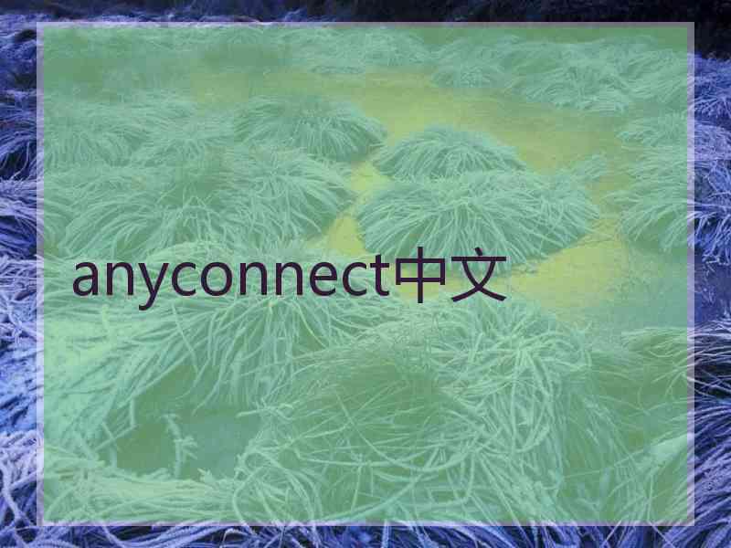 anyconnect中文