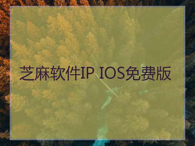 芝麻软件IP IOS免费版