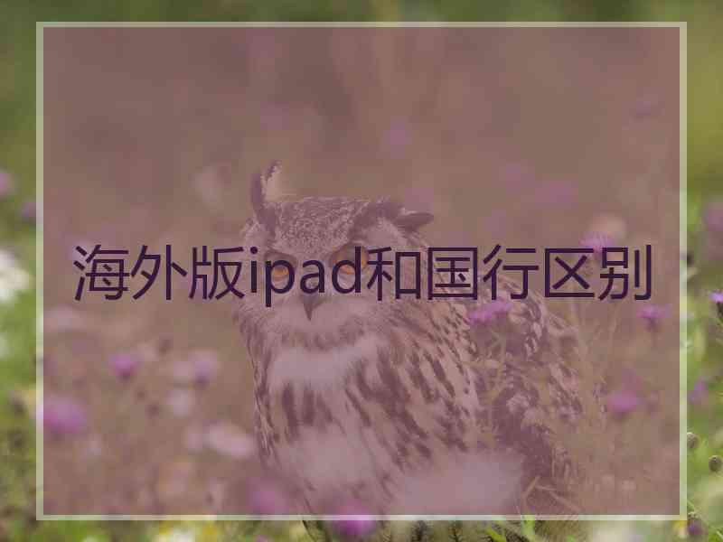 海外版ipad和国行区别