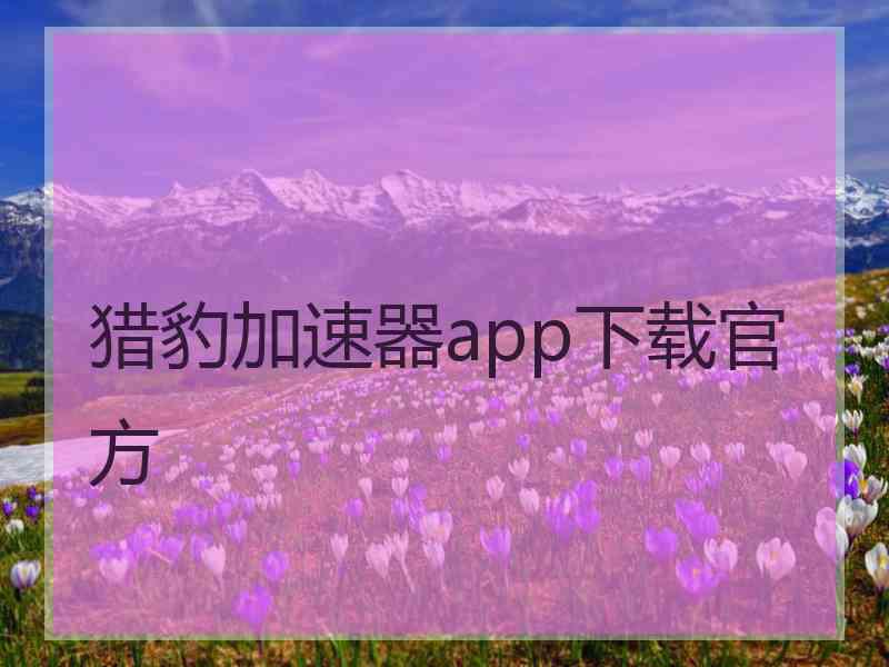 猎豹加速器app下载官方