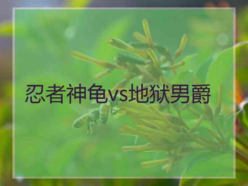 忍者神龟vs地狱男爵