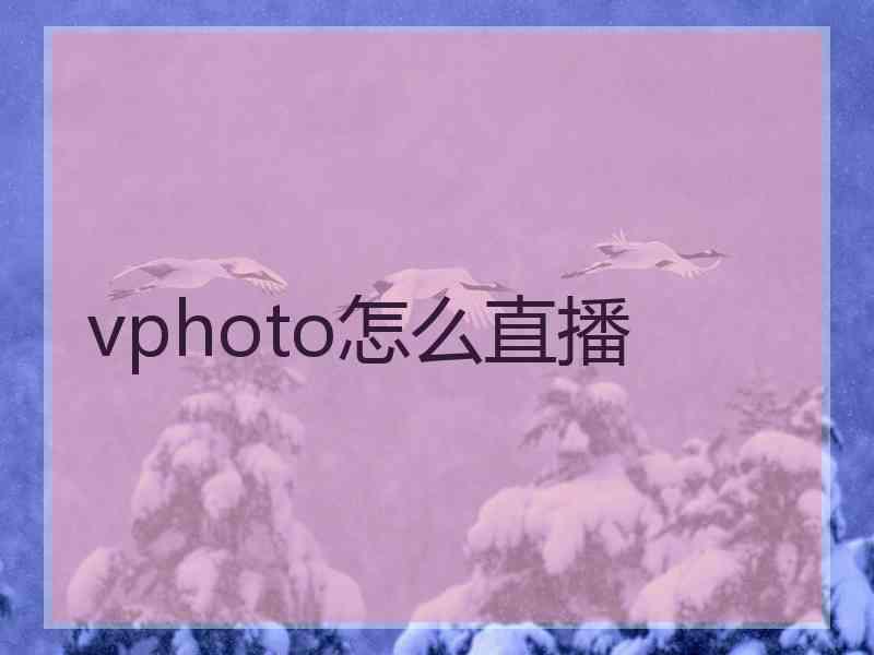 vphoto怎么直播