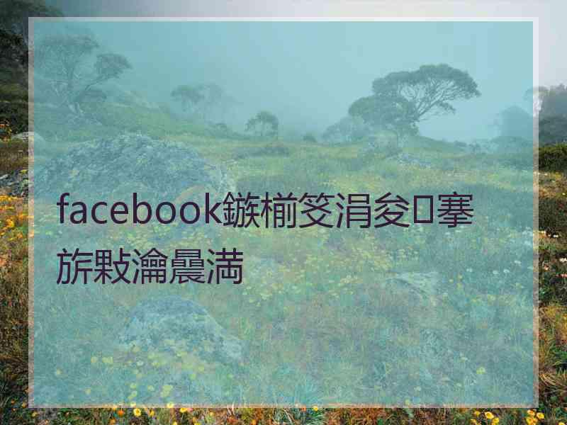 facebook鏃椾笅涓夋搴旂敤瀹曟満